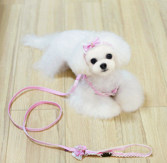 手工日风の森系狗绳宠物牵引胸背带小型犬狗链子泰迪雪纳瑞博美