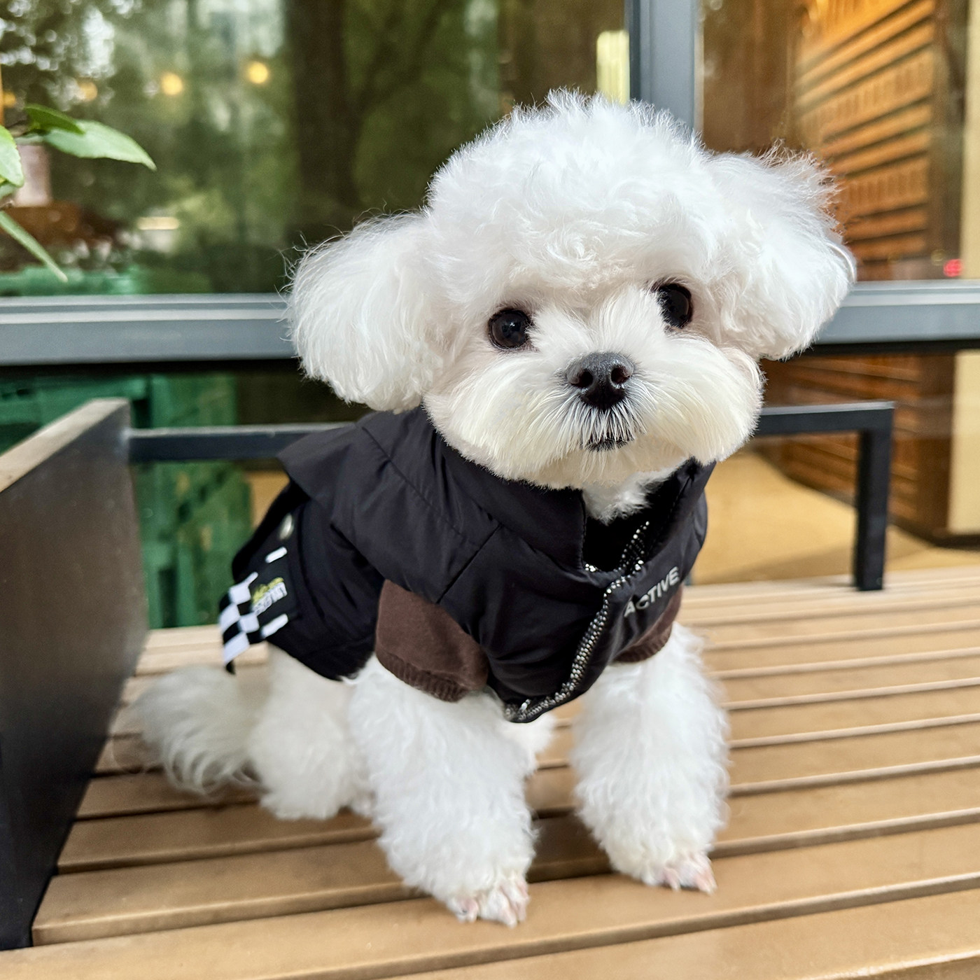 趣派狗衣服秋冬棉服嘻哈风工装牵狗宠物服装/雨衣