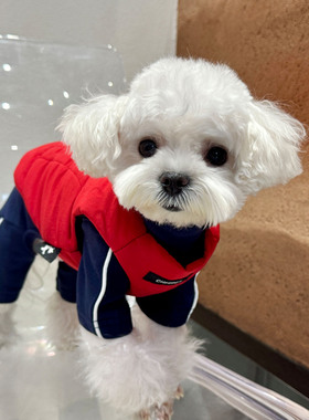 趣派新款冬装机能感双面马甲泰迪比熊雪纳瑞西高地狗狗过新年衣服