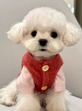 趣派cheepet宠物毛巾绒两脚打底马甲泰迪比熊雪纳瑞狗狗过年衣服