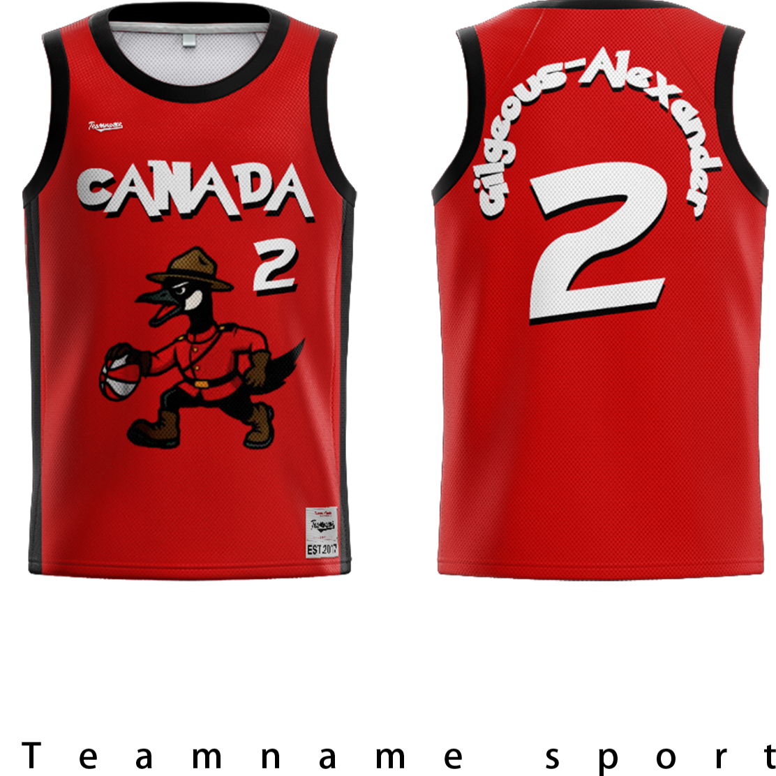 TeamName卡通定制篮球套装