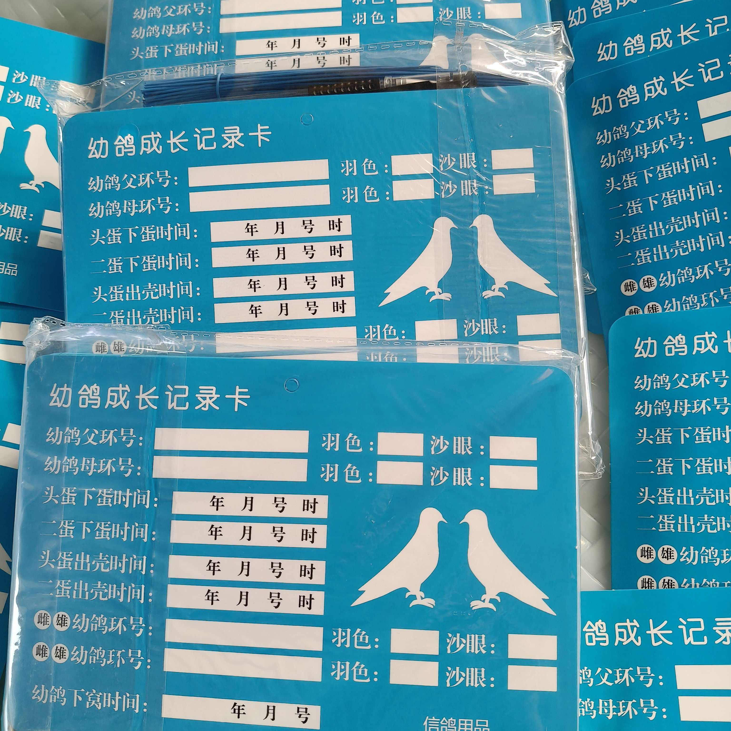 幼鸽成长记录卡鸽子识别册用品辨别卡片血统书幼鸽记录卡片