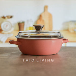 RIESS奥地利进口焕彩搪瓷锅家用炒菜双耳砂锅高温炖盅不粘平底锅