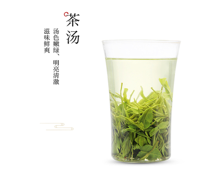 信阳散装绿茶毛尖新茶商城野茶