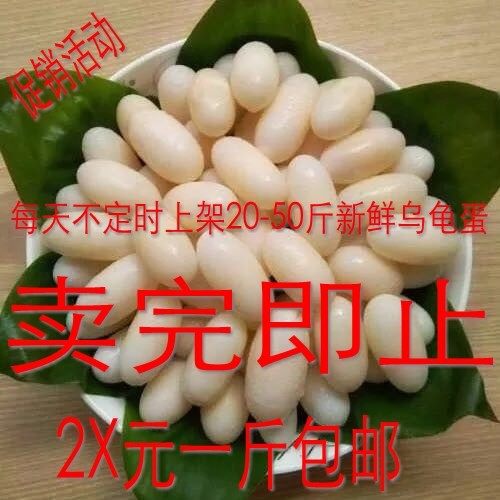 新鲜乌龟蛋食用一斤多中华草龟蛋王八蛋老人 美容补肾泡酒宝宝辅|msdalam kategori haiwan peliharaan/makanan haiwan dan bekalan, Aquarium World, penyu/penyu - dari Buy2taobao.com untuk memberikan perkhidmatan ejen Taobao profesional membeli