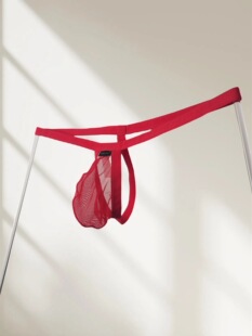 杜米国际新款纯色内裤透明网纱性感囊袋低腰男士丁字裤男生短裤潮