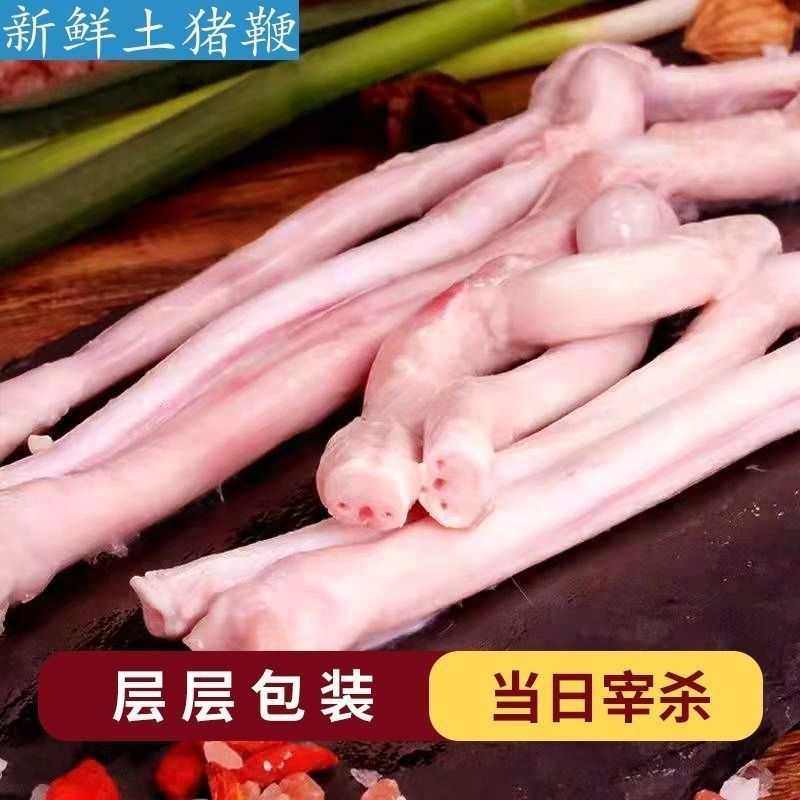 新鲜大土猪鞭精修去油猪鞭