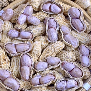 5斤【水煮白晒花生】龙岩花生盐水花生咸干花生带壳1斤熟花生