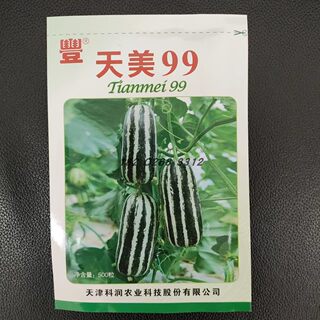 天美99甜瓜种子薄皮种子天津农科院科润蔬菜研究所蔬菜种子菜种籽