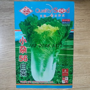 小杂56白菜种子菊花心红黄心蔬菜种籽大白菜种子耐热大白菜籽早熟