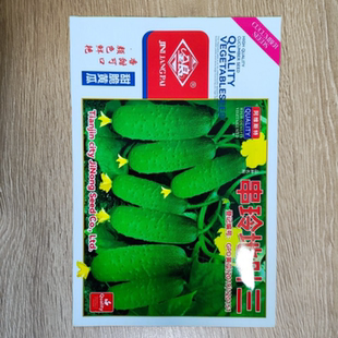串铃地叶三地黄瓜种子甜度高春夏秋季春秋黄瓜种子抗病口感好早熟