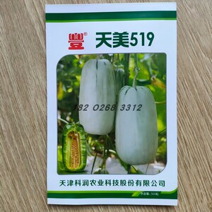 天美519甜瓜种子优质灰白皮肉