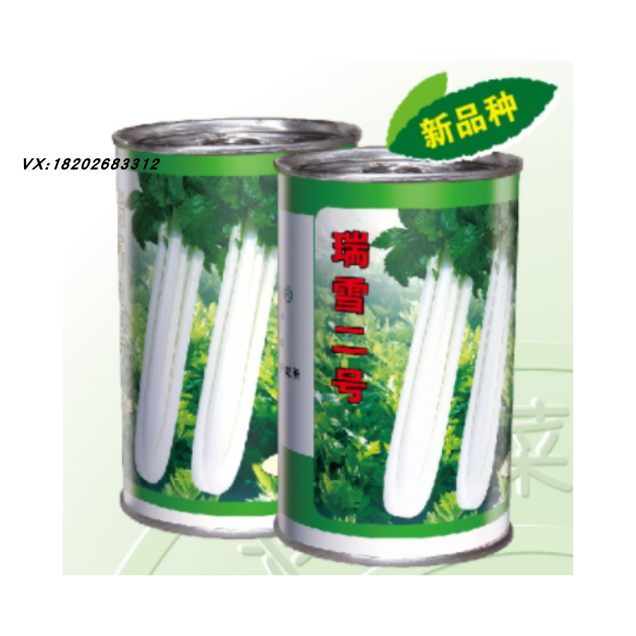 瑞雪二号 2号 赛雪 赛丽 黄泰极 妙香快芹 天津实心芹 芹菜 种子
