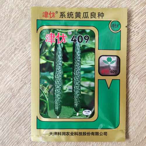津优409新品种20g春夏秋油亮黄瓜