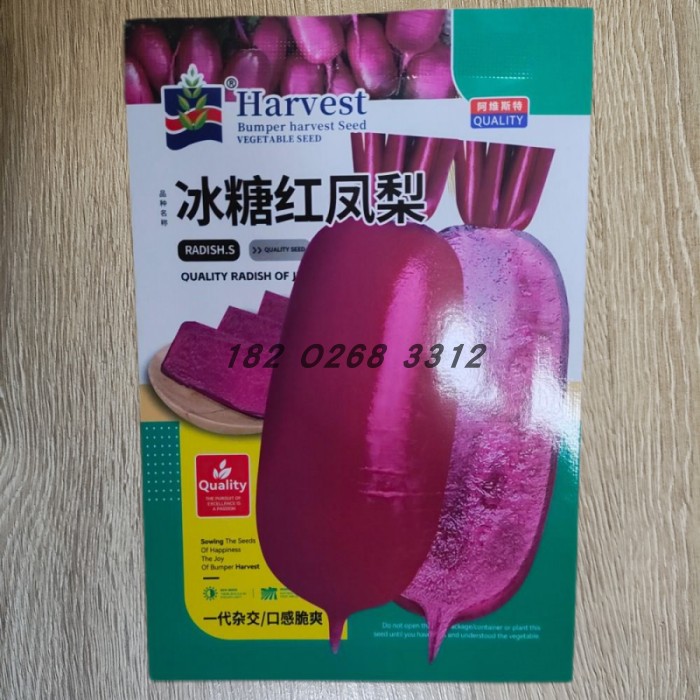 冰糖心凤梨水果萝卜种子