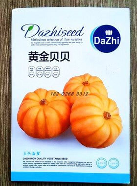 黄金贝贝南瓜种子蔬菜种子高产优质四季早熟精品高端品质橙色秋季