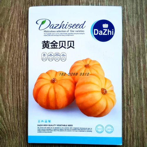 黄金贝贝南瓜种子早熟高产橙色