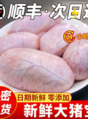 猪睾丸顺丰包邮猪蛋猪宝