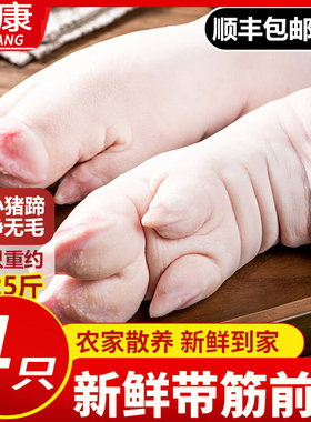 带筋纯前蹄 现杀土猪蹄整只新鲜散养农家带筋猪蹄子猪手前蹄猪脚