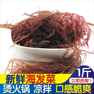 新鲜海发菜龙须菜海草菜丝水晶藻 烫火锅 凉拌 清新脆爽 500g重庆