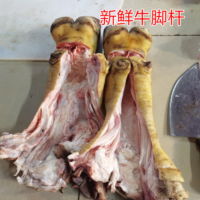 当天宰杀 去骨牛蹄生鲜新鲜黄牛带筋5斤卤味牛骨头牛掌火烧牛脚踢