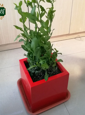 现代简约防水玻璃钢小号花盆别墅阳台装饰绿植盆栽落地花箱6998A