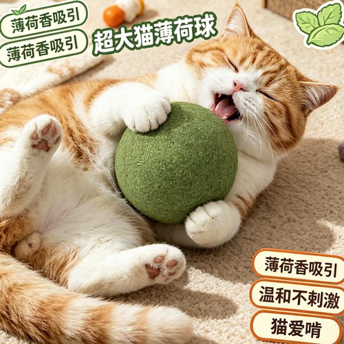 磨牙猫草球逗猫棒猫咪用品木天蓼