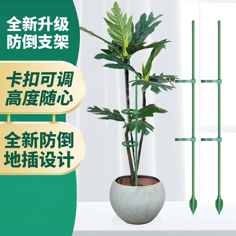 园艺支撑架花支架花卉扶正天堂鸟盆栽绿植物龟背竹吊兰固定防倒伏