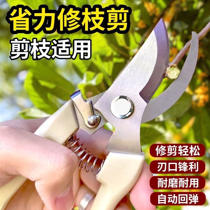 园艺园林修枝剪刀果树花剪图片