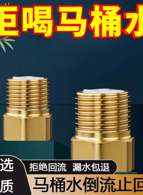 单向止回阀卫生间水管马桶防反水回水4分止逆阀热水器水表逆止阀