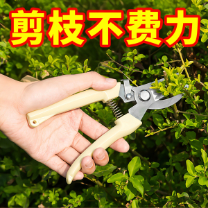 园艺剪修枝剪花剪园林剪刀花艺剪剪树枝果树剪刀枝剪修剪花卉剪子