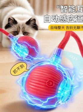 猫玩具猫咪逗猫球趣味小猫躲避宠物电动突滚滚棒工具