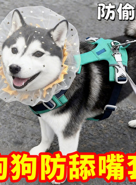 防偷吃乱吃网纱狗狗头套小型犬泰迪比熊防咬防误食面罩防舔嘴套