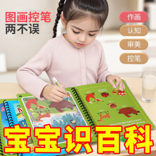 神奇水画本清水涂色绘画反复涂鸦书宝宝益智画画本男孩幼儿园玩具
