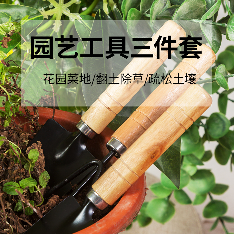 种花工具园艺松土花铲盆栽花艺种植工具三件套家用套装种菜铲子-封面