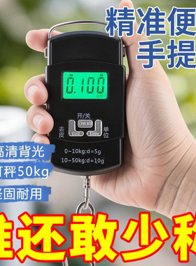 手提电子秤精准精准电子称手提秤弹簧秤家用便携式小型称重器钩