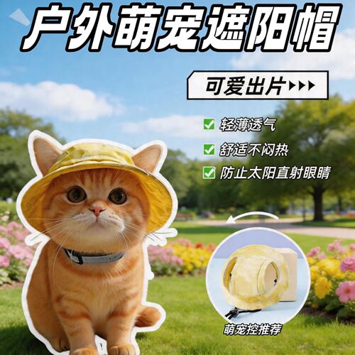 猫咪帽子可爱露耳朵狗狗夏季防晒太阳帽德文猫英短宠物小猫渔夫帽