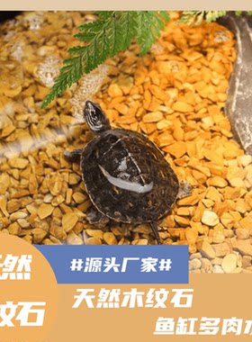 乌龟缸底砂天然木纹石养龟专用石头铁胆沙黑工砂鱼缸铺底石造景