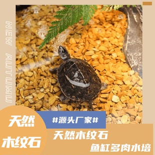 乌龟缸底砂天然木纹石养龟专用石头铁胆沙黑工砂鱼缸铺底石造景