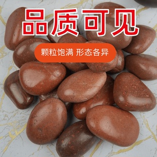 红色鹅卵石雨花石精抛大小石头阳台庭院装饰铺路鱼缸造景超划算