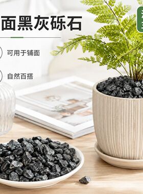 鱼乐黑色砾石铺地花园造景黑石子小石子庭院铺路铺地砾石黑山石黑