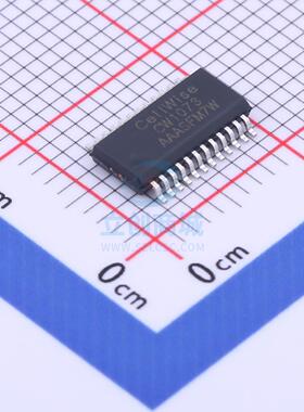 电池管理 CW1073AAAS SSOP-24 全新原装进口