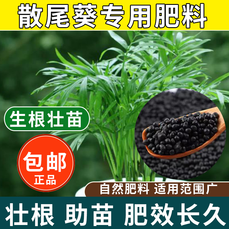 散尾葵专用肥阳台黄椰子凤凰尾紫葵专用型肥料有机复合颗粒缓释肥