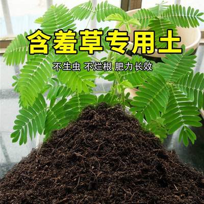 含羞草专用土室内阳台盆栽土酸性种植花土家庭通用有机营养土包邮