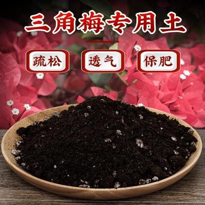 三角梅专用土三角梅土通用型营养土花泥室内绿植盆栽有机种植土肥