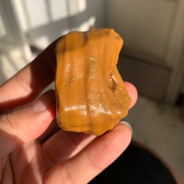 天然鸡油黄螺旋纹沙漠漆原石把玩件重132.4克雕刻出精品戈壁奇石