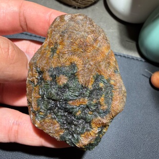 天然新疆巴楚黑山玛瑙筋脉石品相完美原石把玩件重142克菊花奇石