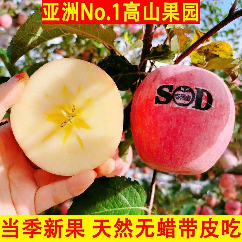 灵宝寺河山苹果新鲜当季当季红富士脆甜天然富硒SOD苹果