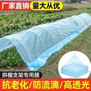 大棚骨架玻璃纤维杆拱棚支架蔬菜地小棚搭棚架子拱条阳光暖棚保温