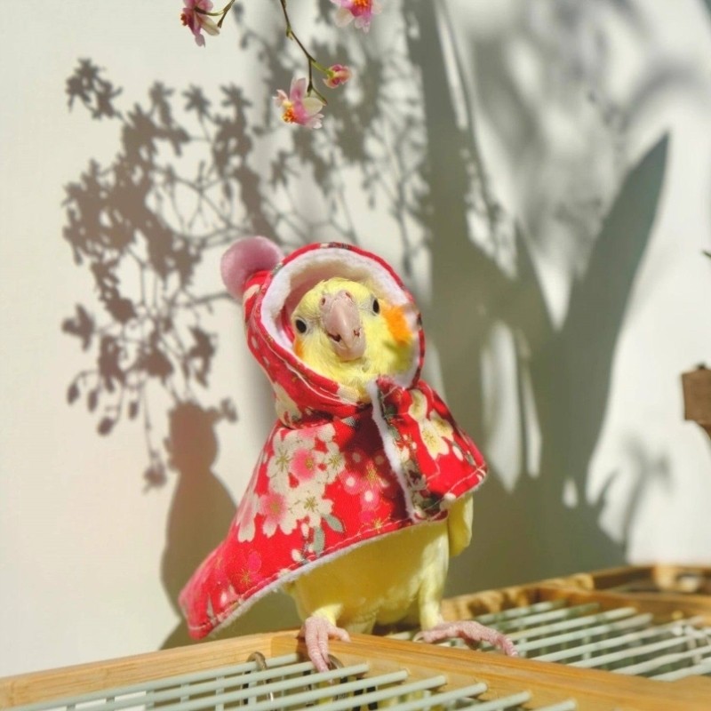 2026新年鹦鹉衣服保暖过冬披风小太阳玄凤牡丹专用防寒保温外出服,宠物/宠物食品及用品,鸟禽服饰,淘宝优惠券,粉丝福利购,淘宝优惠卷